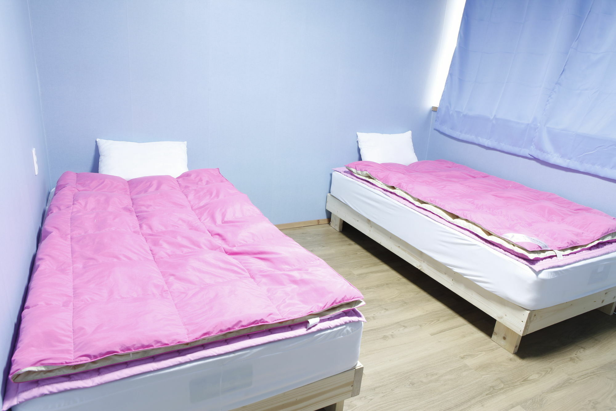 Baozen Guesthouse Jeju Ngoại thất bức ảnh